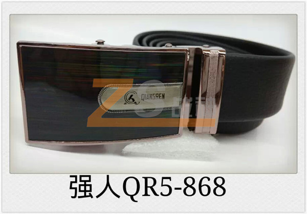 強(qiáng)人QR5-868 強(qiáng)人QR5-868